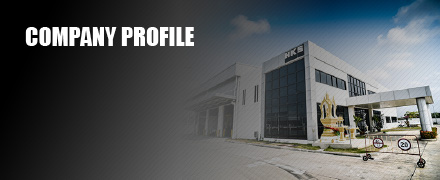 Company profile